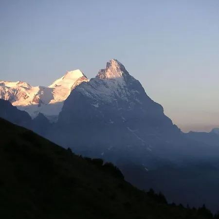 Chalet Ahaben Apartment Grindelwald