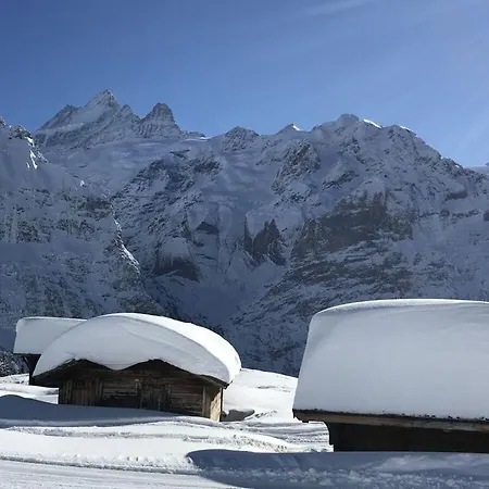 Apartment Chalet Ahaben Grindelwald