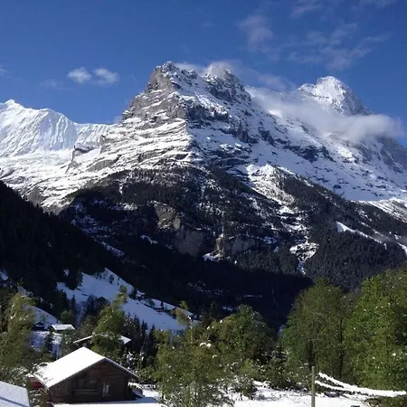 Apartment Chalet Ahaben Grindelwald