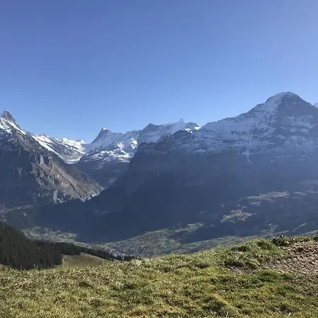 Appartement Chalet Ahaben Grindelwald