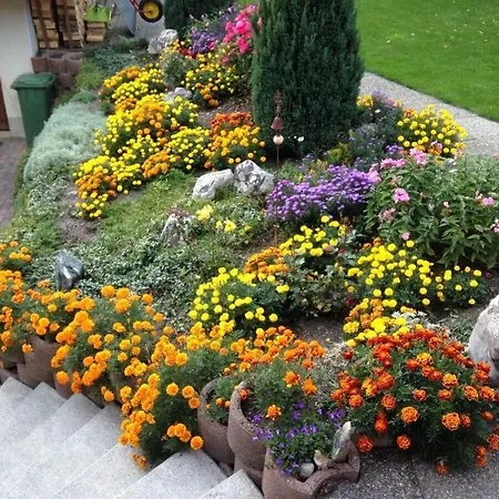 Chalet Ahaben Appartement *